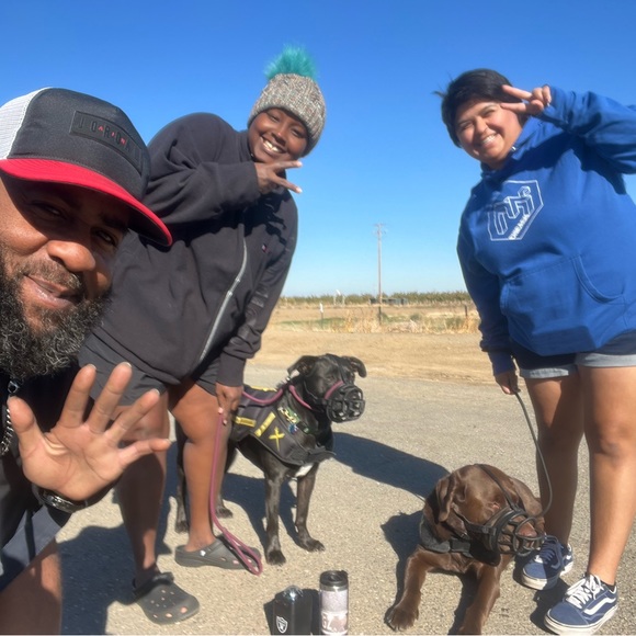 Meet your Posher, Juana - Picture 2 of 16